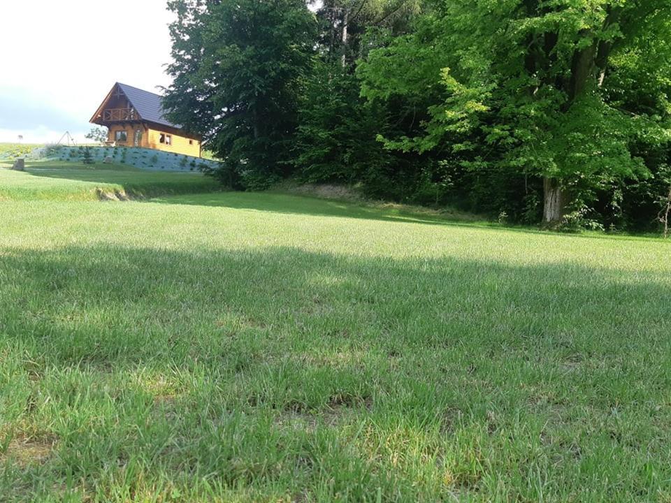 Domek Na Wzgorzu "Wilk" Swiatkowa Mala エクステリア 写真